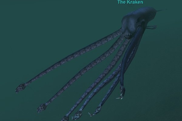 Kraken 6at