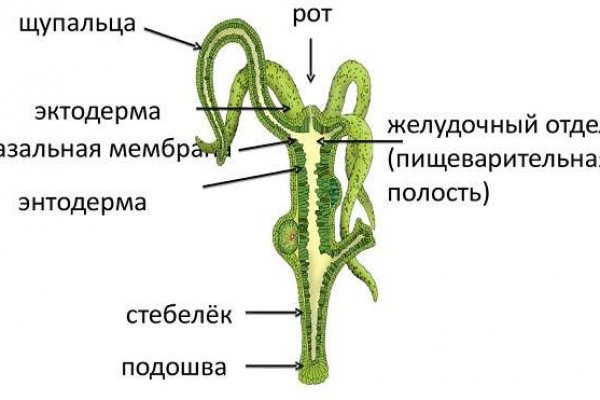 Кракен вход рабочий